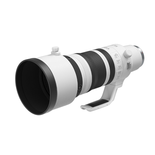 Canon RF 100-300mm F2.8 L IS USM Lens-05